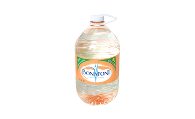 Agua Natural Bonafont 6.0 - Lt