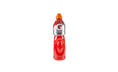Gatorade Sabor Ponche 1lt.
